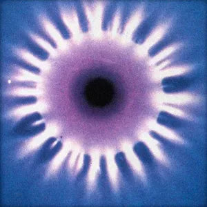 NEW MOON