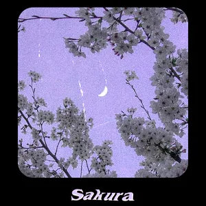 SAKURA